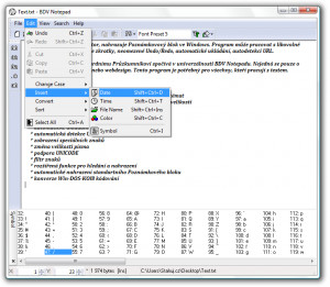 BDV Notepad - náhled