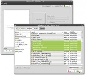 ImageShack Uploader - náhled