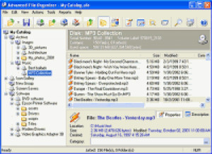 Advanced File Organizer - náhled