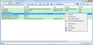 Magic File Identifier - náhled