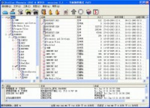 Stellar Phoenix FAT & NTFS - náhled