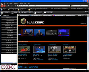 Blackbird Web Browser - náhled