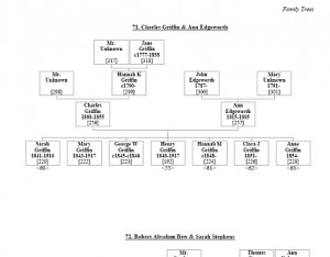 The Complete Genealogy Builder - náhled