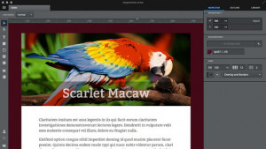 Macaw - náhled
