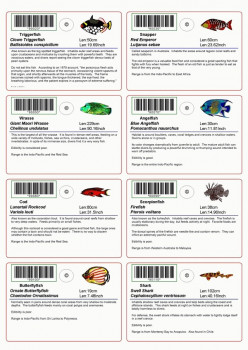 Easy Label Designer - náhled
