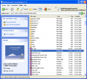 diskinternals linux reader program