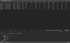 Audio Normalizer - náhled