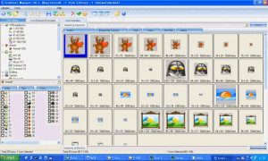 IconCool Manager - náhled