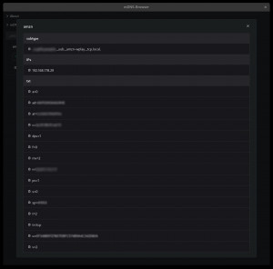mDNS-Browser - náhled