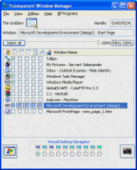 Transparent Window Manager - náhled