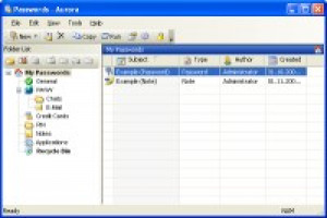 Aurora Password Manager - náhled