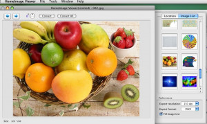 Home Image Viewer - náhled