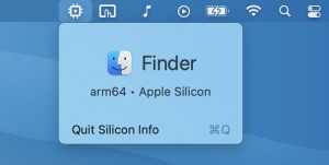 Silicon Info - náhled