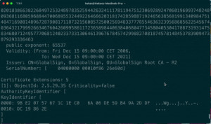 Certificate Ripper - náhled