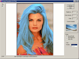 Image Repainter - náhled