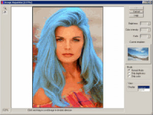 Image Repainter - náhled