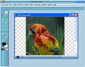 SID Image In Depth - náhled