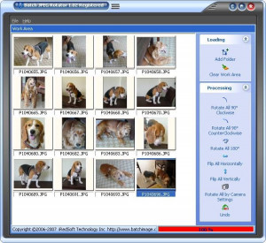 Batch JPEG Rotator - náhled
