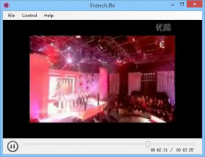FLV Viewer - náhled