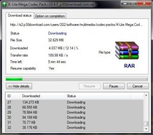 SD Download Manager - náhled