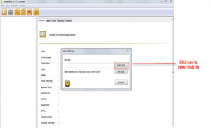 Stellar WAB to PST Converter  - náhled