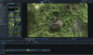 Luxea Video Editor - náhled