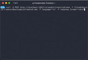 WhisperServer - náhled