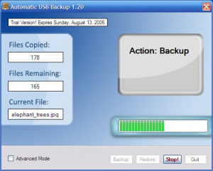 Automatic USB Backup - náhled