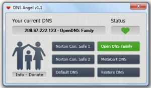DNS Angel - náhled