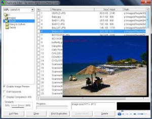 Duplicate Files - náhled