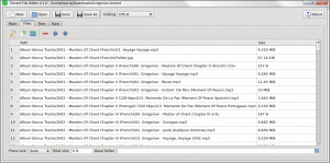 Torrent File Editor - náhled