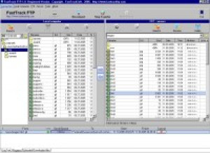 FastTrack FTP - náhled
