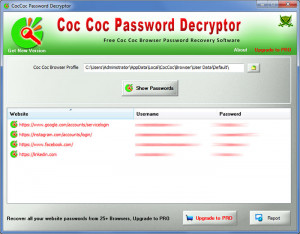 Coc Coc Password Decryptor - náhled