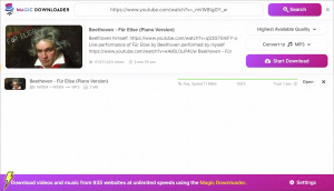Magic Downloader - náhled
