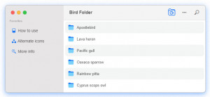 Bird Folder - náhled