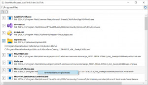 ShowWhatProcessLocksFile - náhled