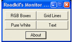 Roadkil's Monitor Test - náhled