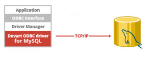 ODBC Driver for MySQL - náhled