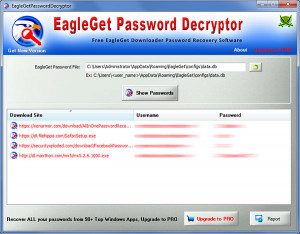 EagleGet Password Decryptor - náhled