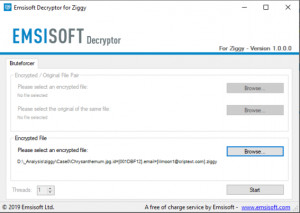 Emsisoft Decryptor for Ziggy - náhled