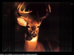 Oh, Deer - náhled