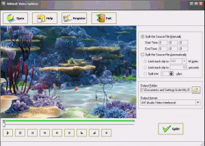 WiliSoft Video Splitter - náhled