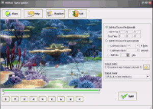 WiliSoft Video Splitter - náhled