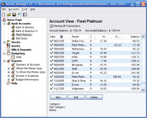 Money Manager .NET - náhled