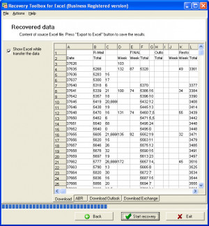 Recovery Toolbox for Excel - náhled
