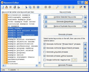 Internet Business Promoter (IBP) - náhled