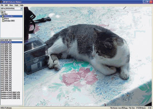 MDW Picture Viewer - náhled