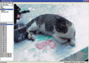 MDW Picture Viewer - náhled