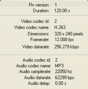 Moyea FLV Player - náhled