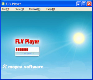 Moyea FLV Player - náhled